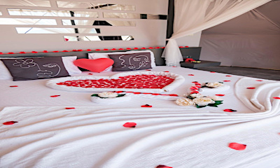 Queen Suite